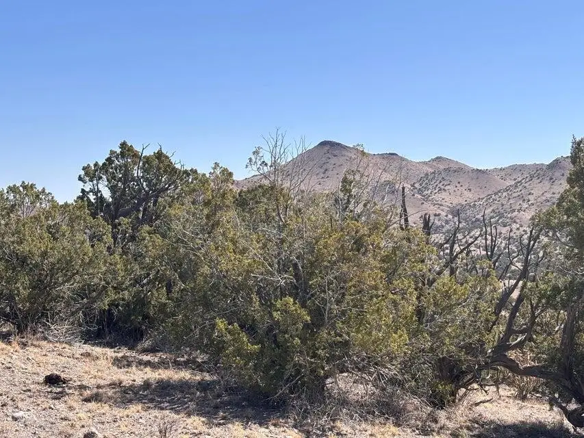 Lot 124 Abbe Springs, Magdalena, NM 87825 - #3