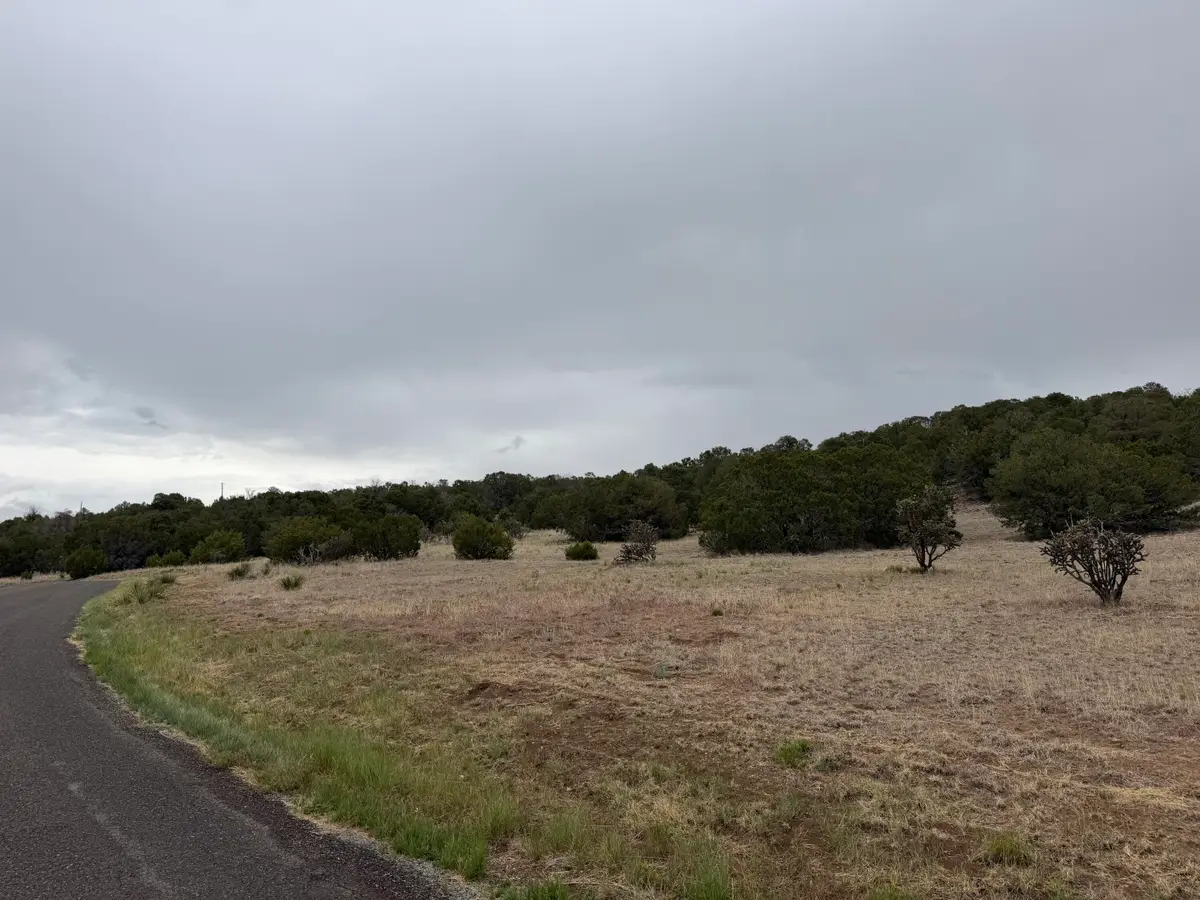 57 Crestview Road, Edgewood, NM 87015 - #1