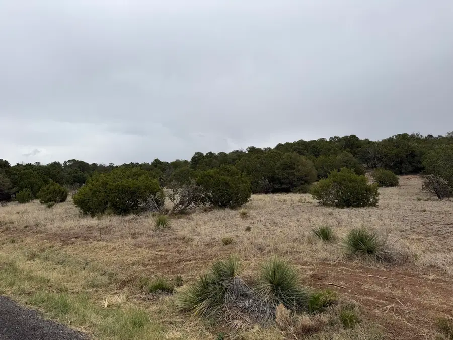 57 Crestview Road, Edgewood, NM 87015 - #2