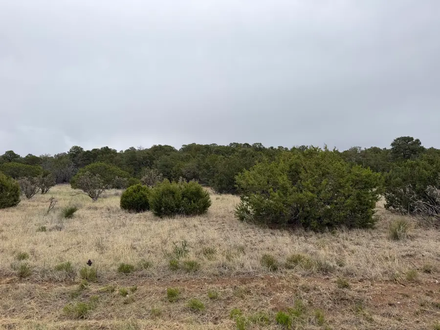 57 Crestview Road, Edgewood, NM 87015 - #3
