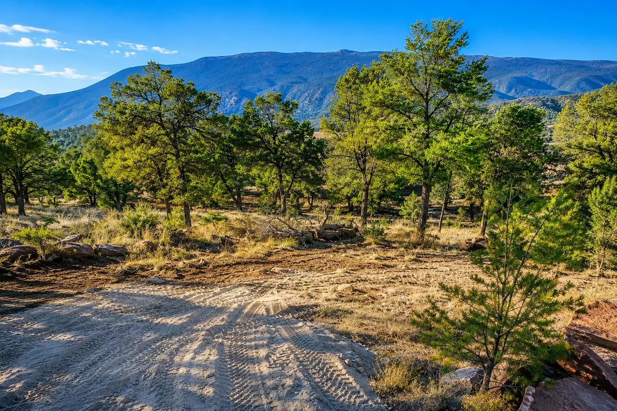 42 Calle Conejo Road, Tijeras, NM 87059 - #1