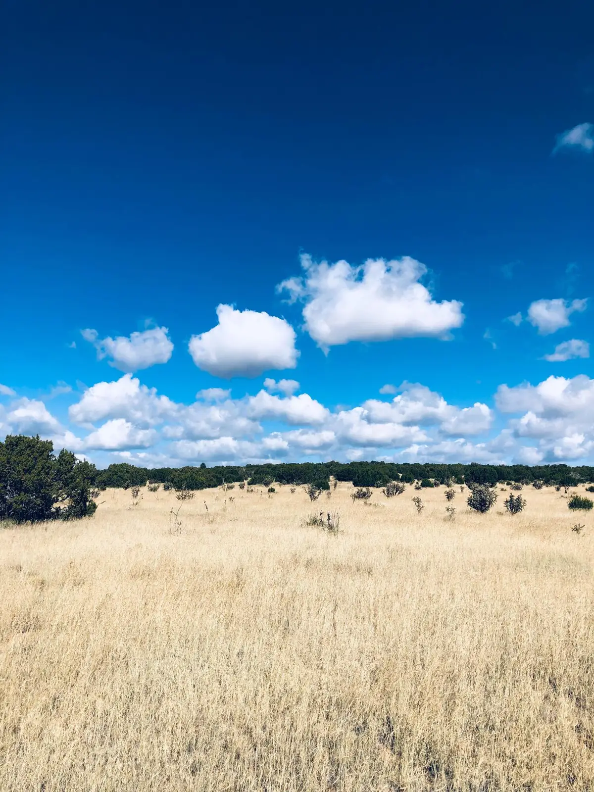 Mission Hills Lot 10, Estancia, NM 87016 - #1