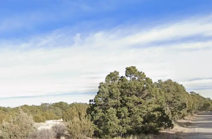 12 Vista Del Sol, Tijeras, NM 87059 - #2