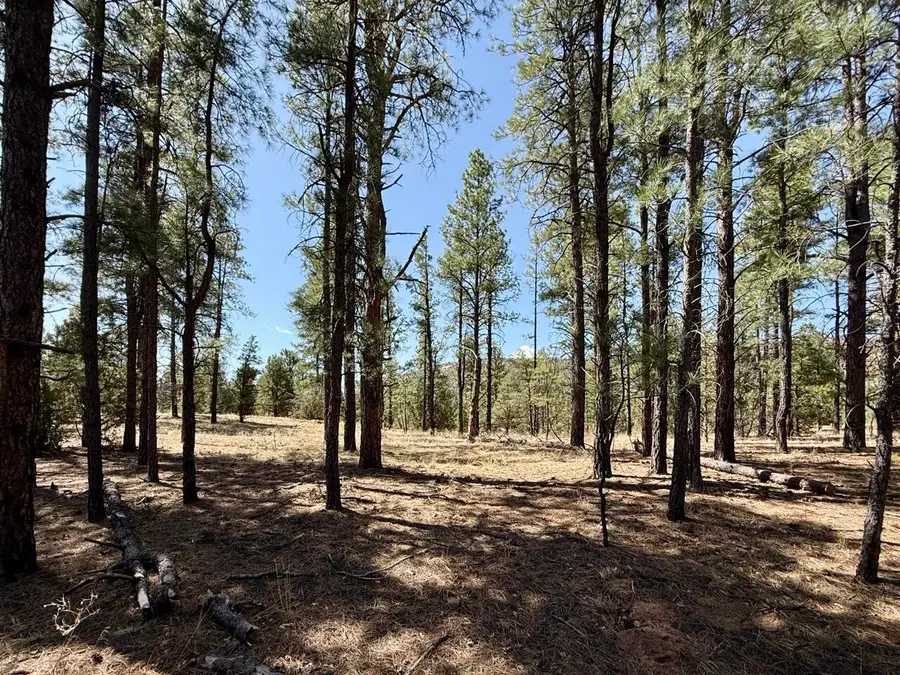 823 Timberlake Road, Ramah, NM 87321 - #3