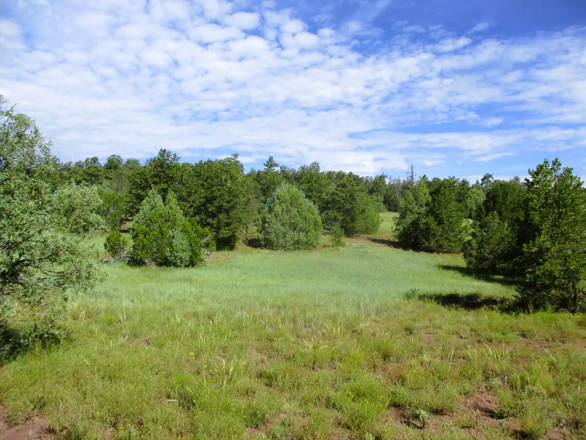 Lots 5 & 6 Black Bear Road, Ramah, NM 87321 - #1