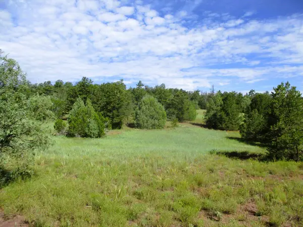 Lots 5 & 6 Black Bear Road, Ramah, NM 87321