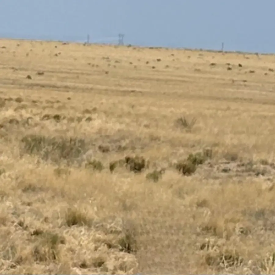 Lot4A W Mora Dr #2, Rio Communities, NM 87002 - #3