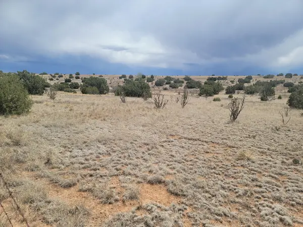 Address Withheld By Seller, Edgewood, NM 87015