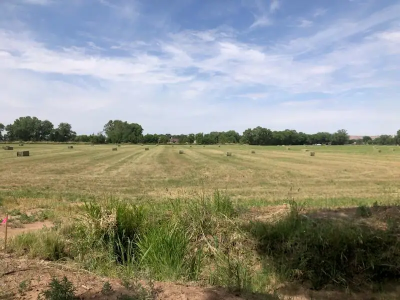 N/a, Belen, NM 87002 - #1