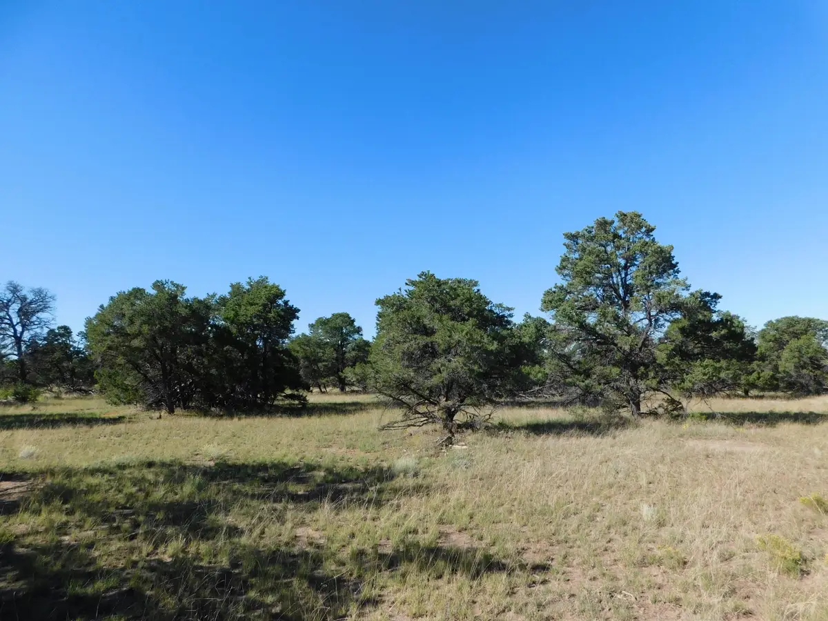 43 Brook Boulevard, Quemado, NM 87829 - #1