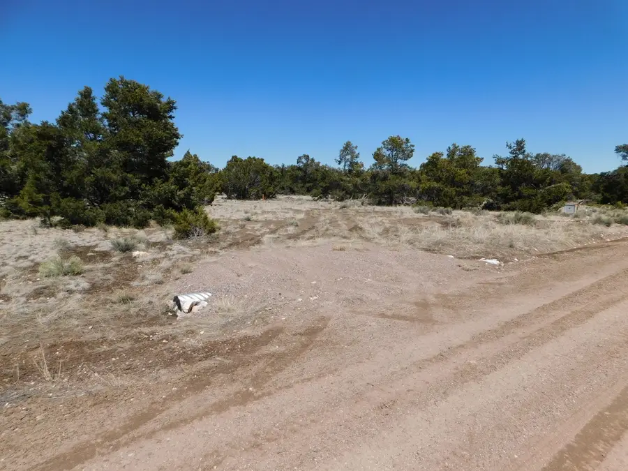Lot 26 Spring Canyon Cir, Quemado, NM 87829 - #2