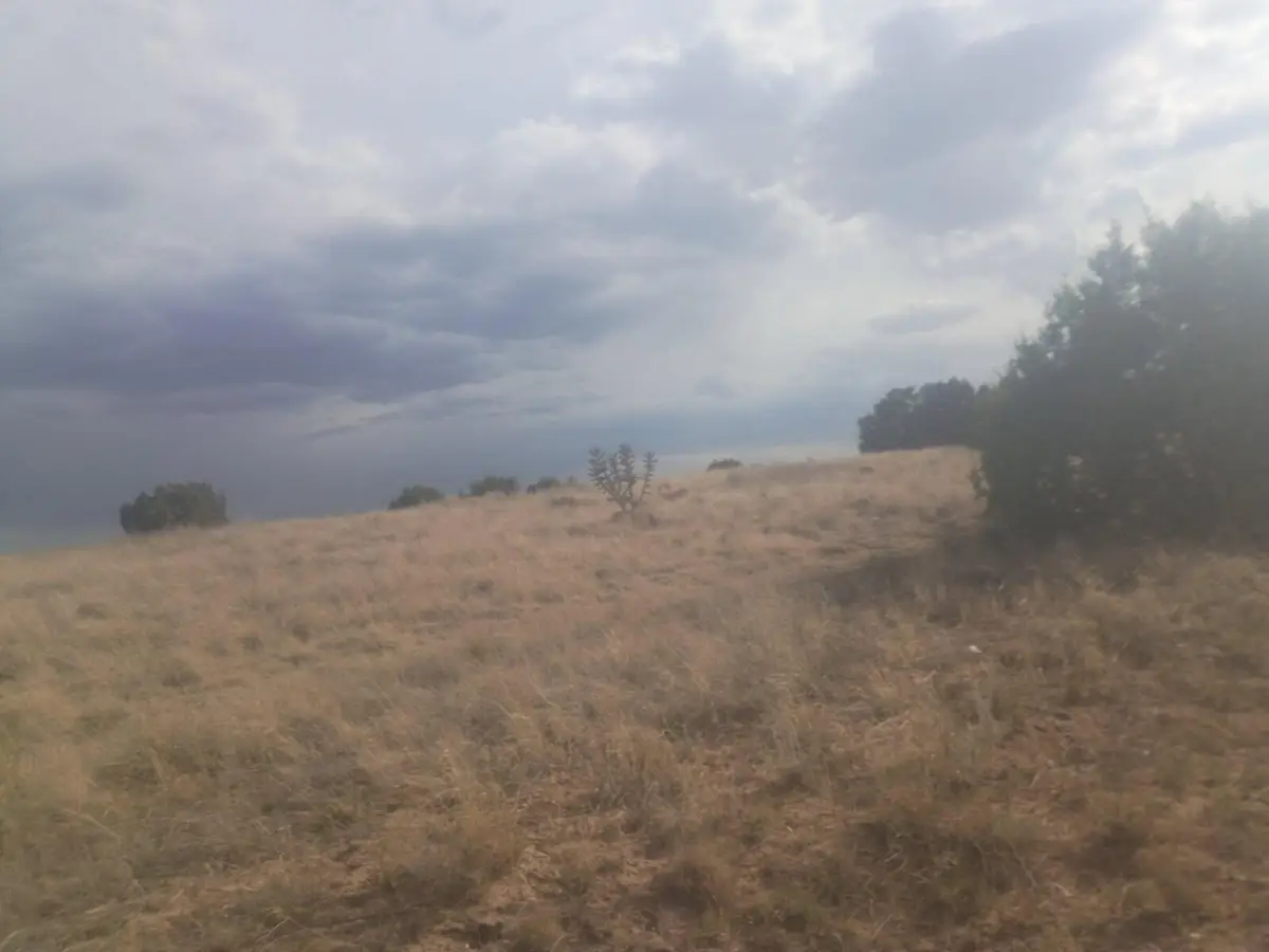 Lot 46 Cassandra Court, Moriarty, NM 87035 - #1