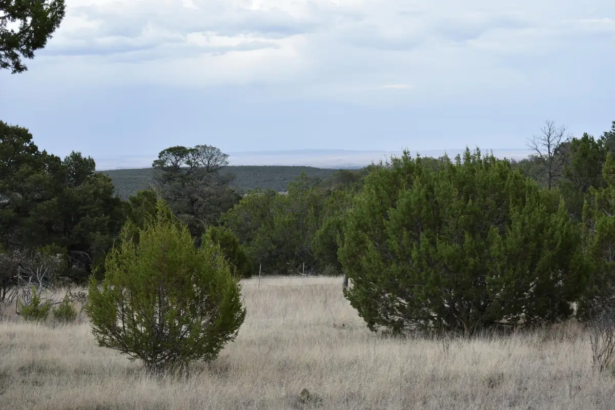 184 Sunlight Road, Edgewood, NM 87015 - #1