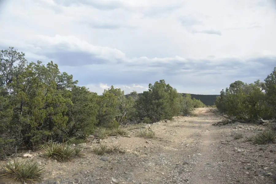 184 Sunlight Road, Edgewood, NM 87015 - #3