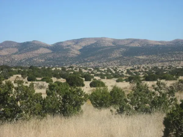 Lot 188 Pinon Springs Ranches, Magdalena, NM 87825