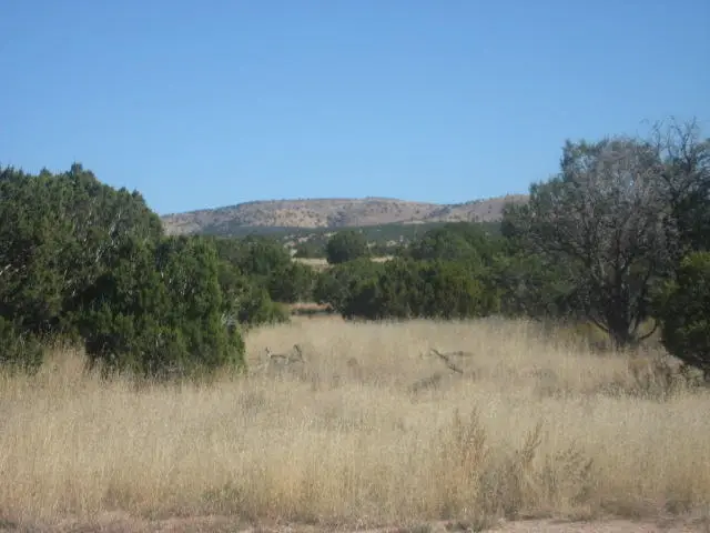 Lot 188 Pinon Springs Ranches, Magdalena, NM 87825 - #2