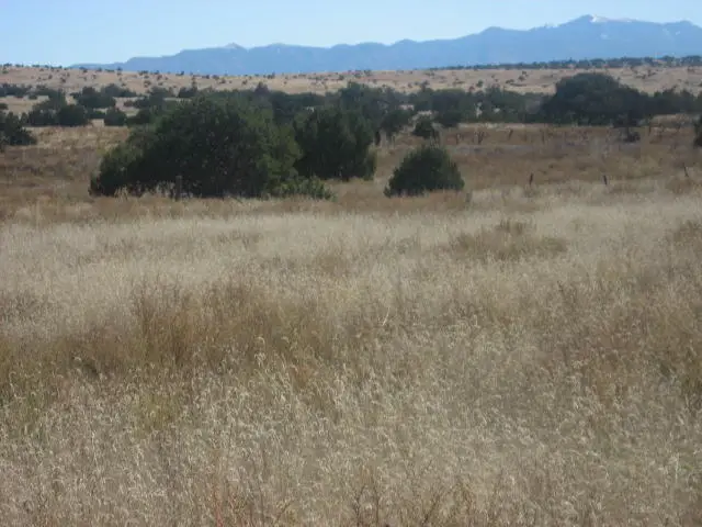 Lot 188 Pinon Springs Ranches, Magdalena, NM 87825 - #3