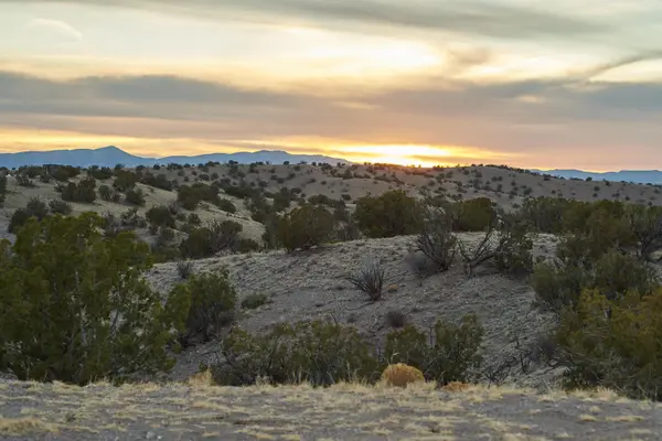 Abbe Springs Ranches Lot 115, Magdalena, NM 87825