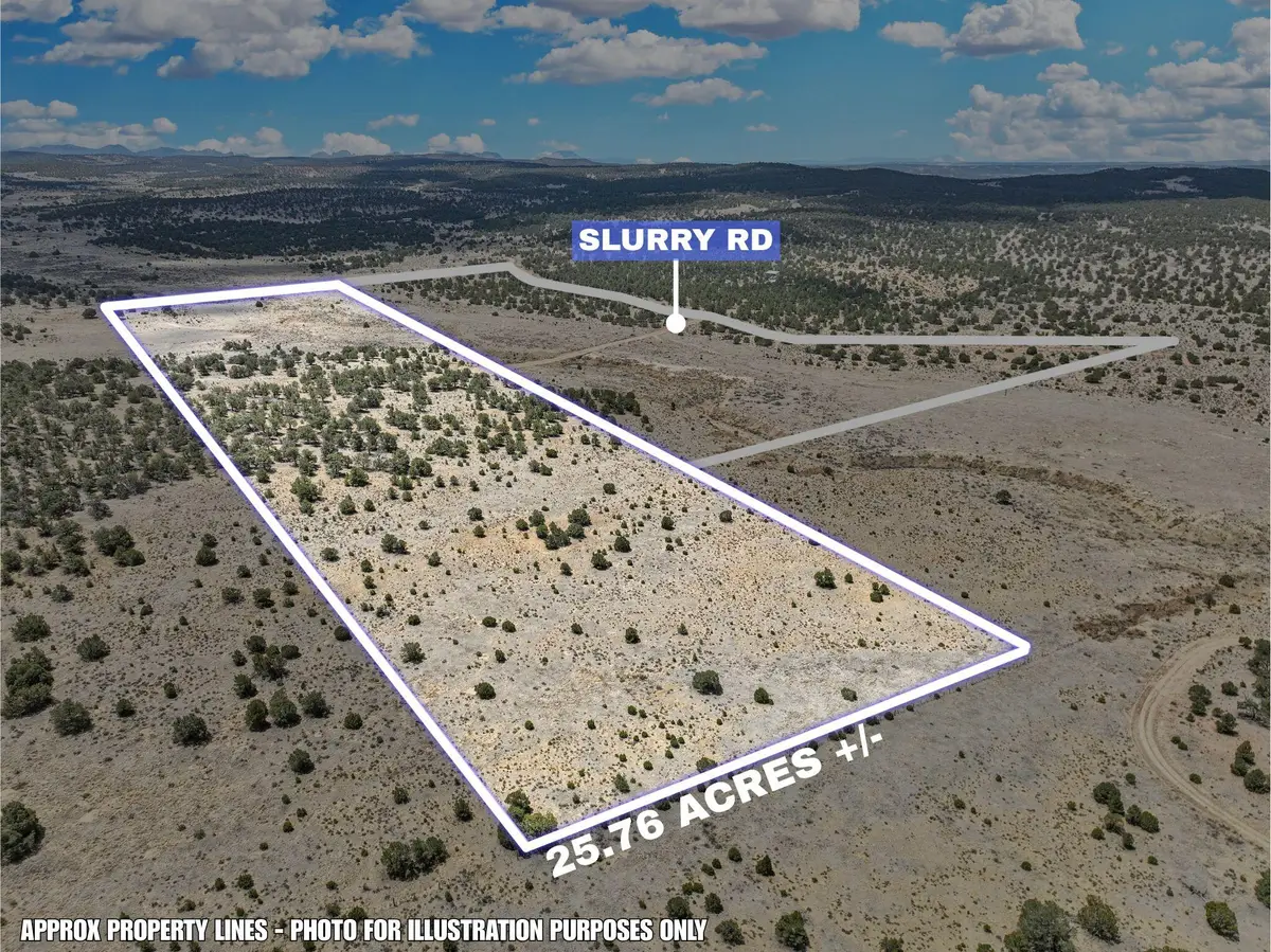 Lot 4 Slurry Rd, Pie Town, NM 87827 - #1
