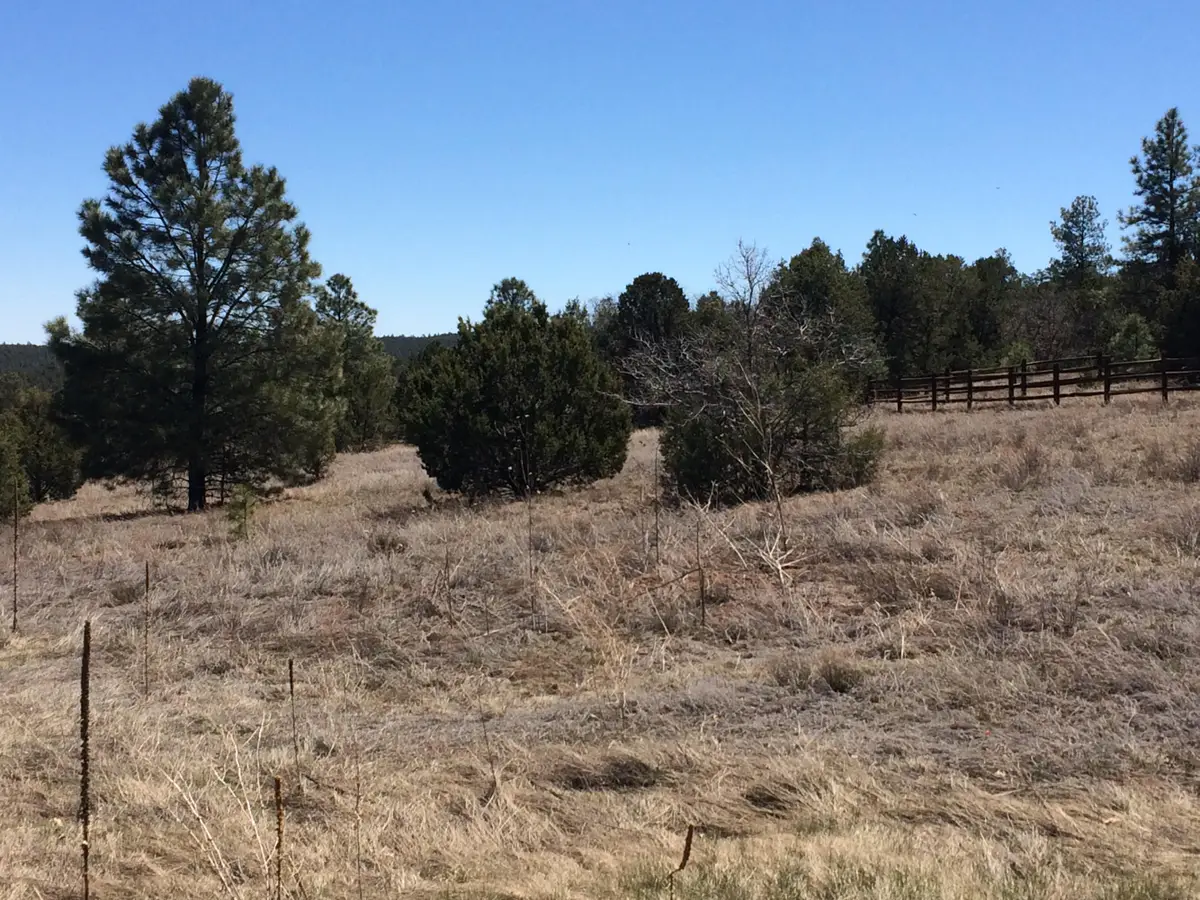 10 Woodland Court, Tijeras, NM 87059 - #1