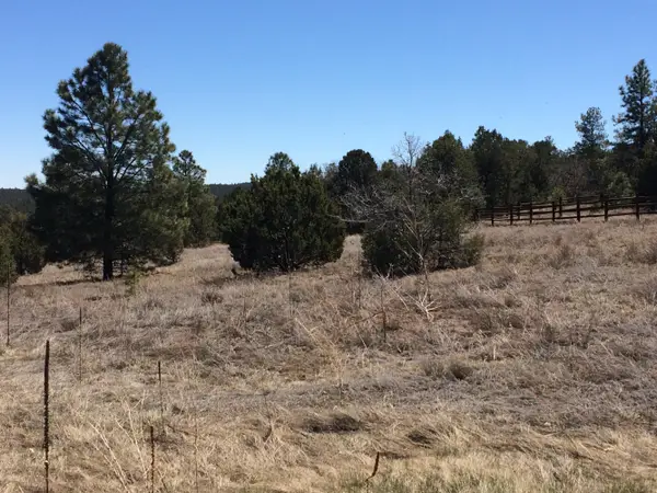 10 Woodland Court, Tijeras, NM 87059