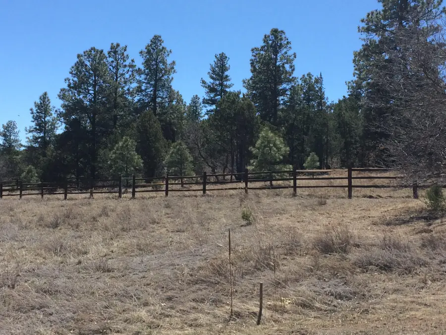 10 Woodland Court, Tijeras, NM 87059 - #2