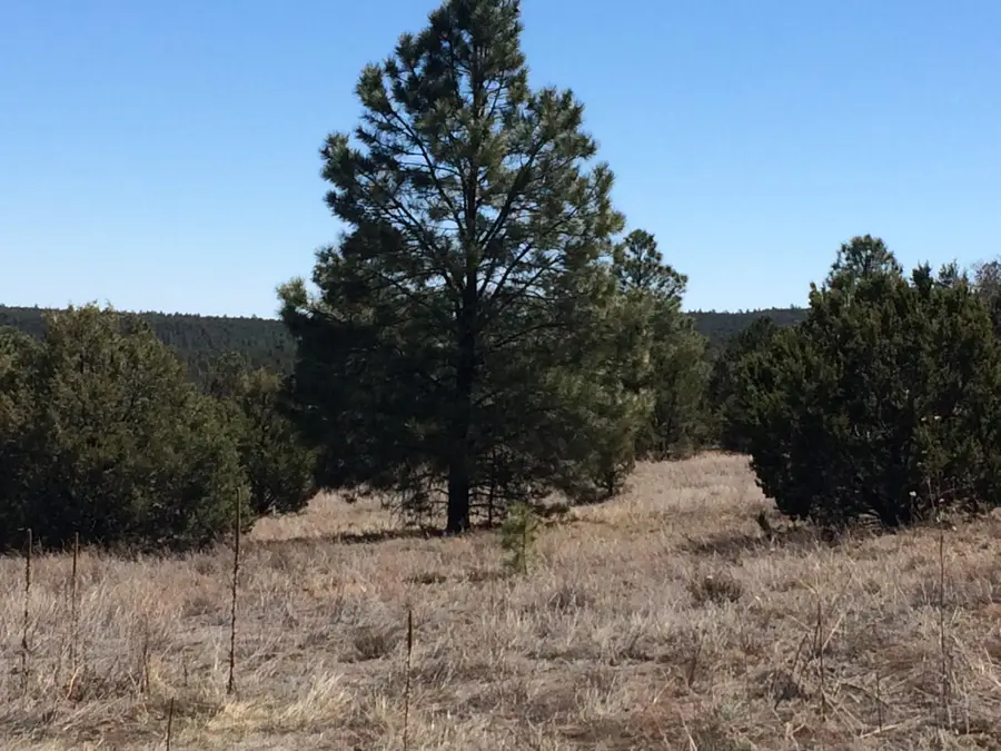 10 Woodland Court, Tijeras, NM 87059 - #3