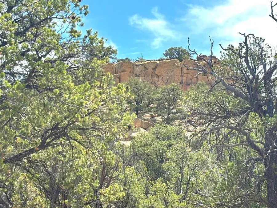 Lot 3 Slurry Road, Pie Town, NM 87827 - #2