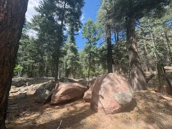 30 Brazos Lodge Estates, Chama, NM 87520