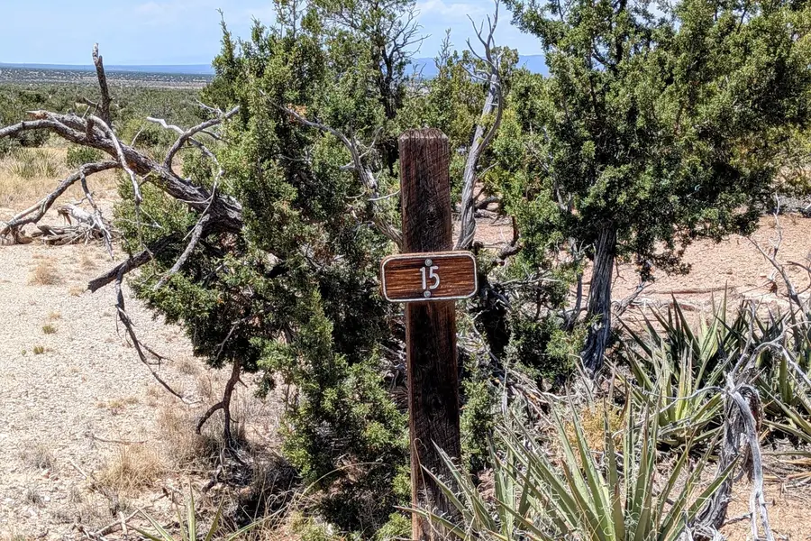 15 Nana Trail, Mountainair, NM 87036 - #3