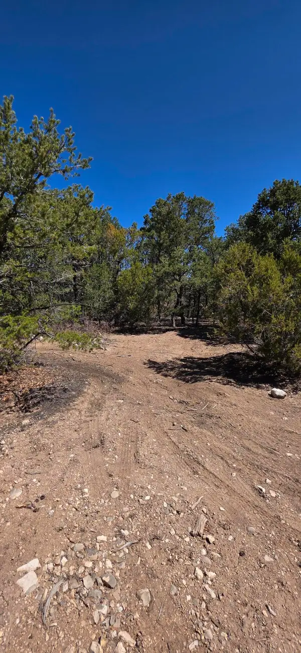 Chico Road #R015120, Edgewood, NM 87015
