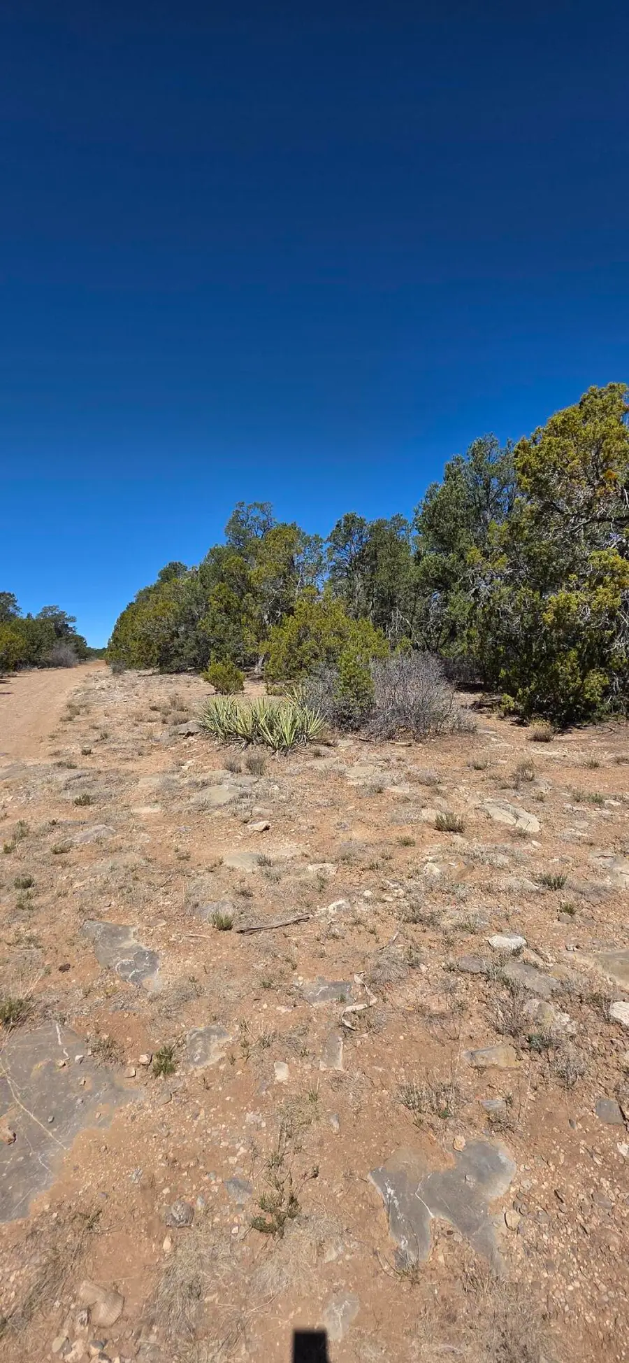 Chico Road #R015120, Edgewood, NM 87015 - #2