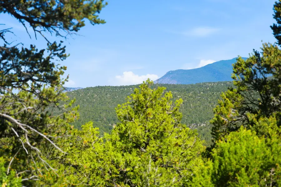 1 Duncan Drive, Tijeras, NM 87059 - #3