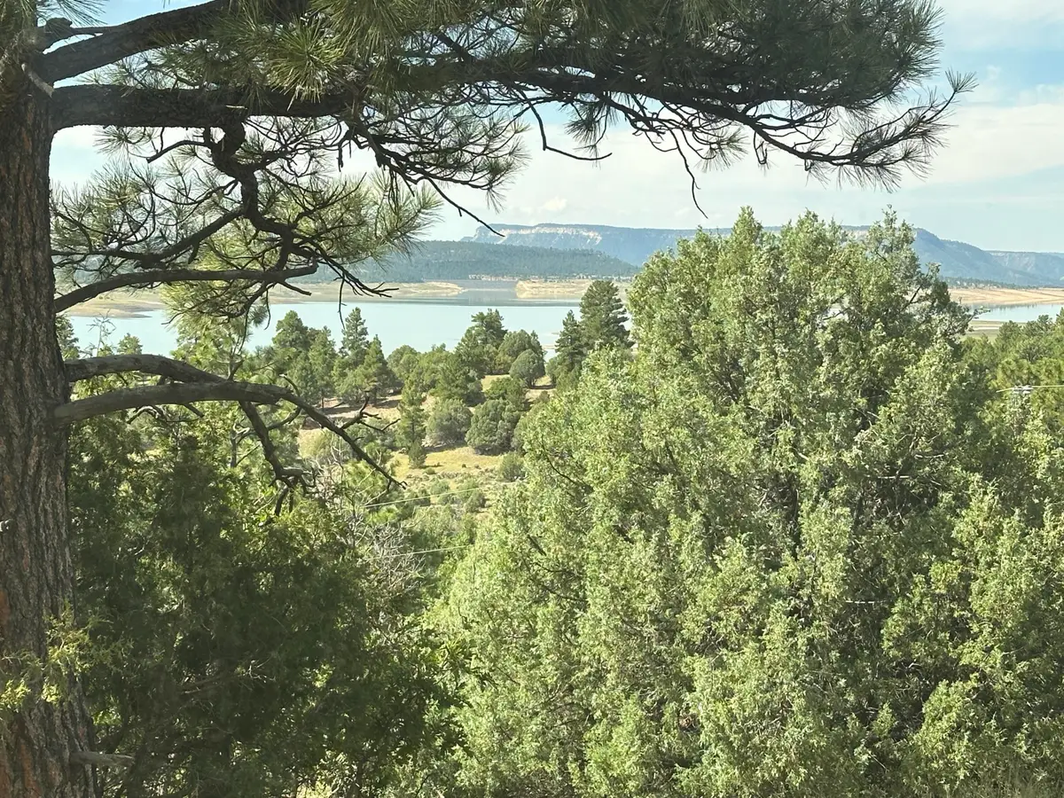 000 Canyon Road, Los Ojos, NM 87551 - #1
