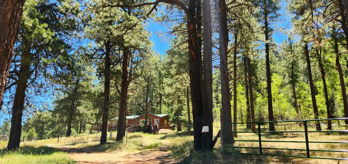 152 Sedillo Hill Road, Cuba, NM 87013 - #1