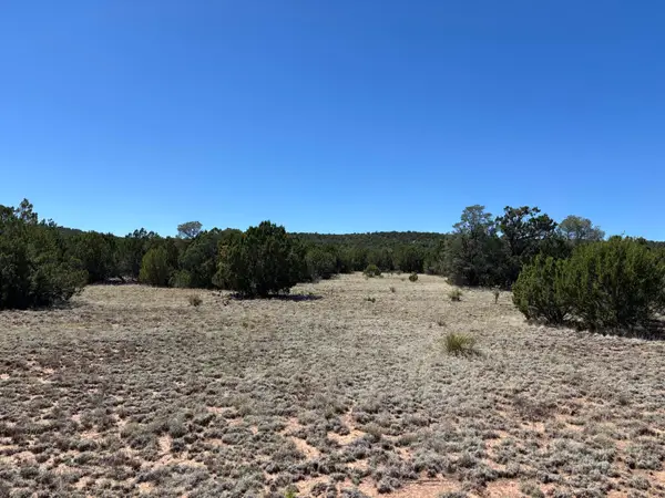 Dos Lunas Drive, Tajique, NM 87016
