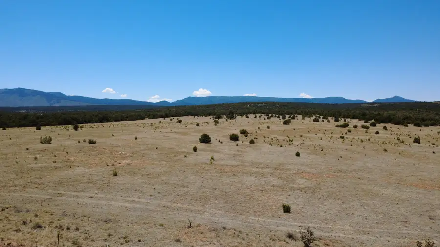 Highway 55, Torreon, NM 87061 - #3