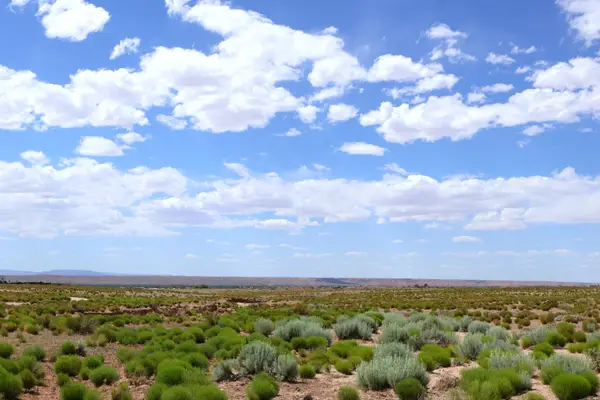 Lot 3 Rio Grande Estates, Veguita, NM 87062
