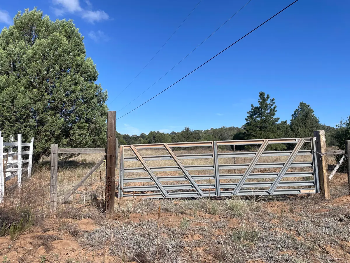 119 Anaya Road, Tijeras, NM 87059 - #1
