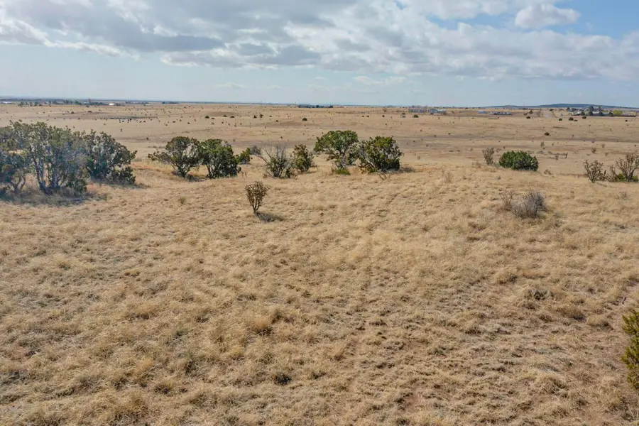 57 Luke Road, Moriarty, NM 87035 - #2