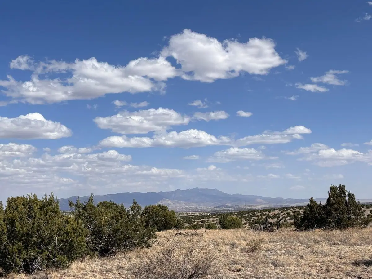 Lot 173 Campfire Rd Road, Magdalena, NM 87825 - #1