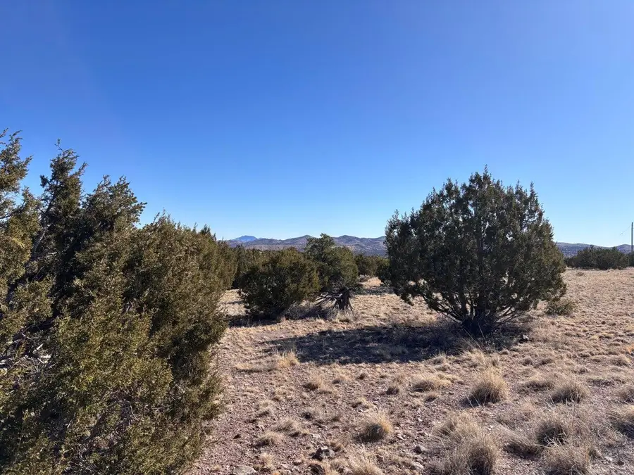 Lot 173 Campfire Rd Road, Magdalena, NM 87825 - #2