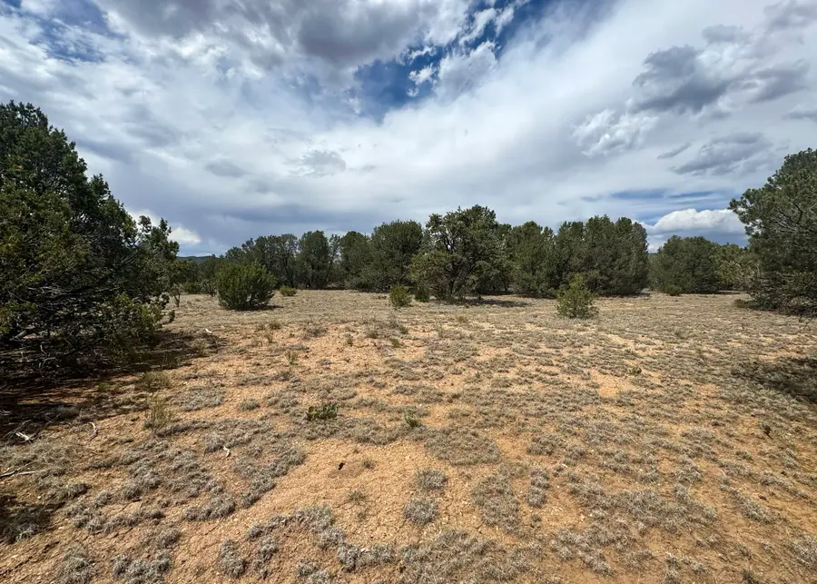 8 Straughan Court, Edgewood, NM 87015 - #3