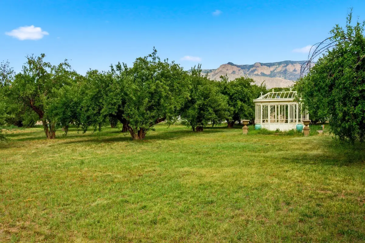 21 E Alary Lane, Corrales, NM 87048 - #1