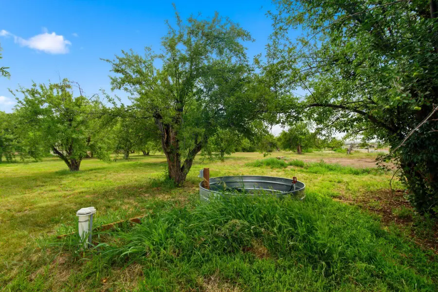 21 E Alary Lane, Corrales, NM 87048 - #2