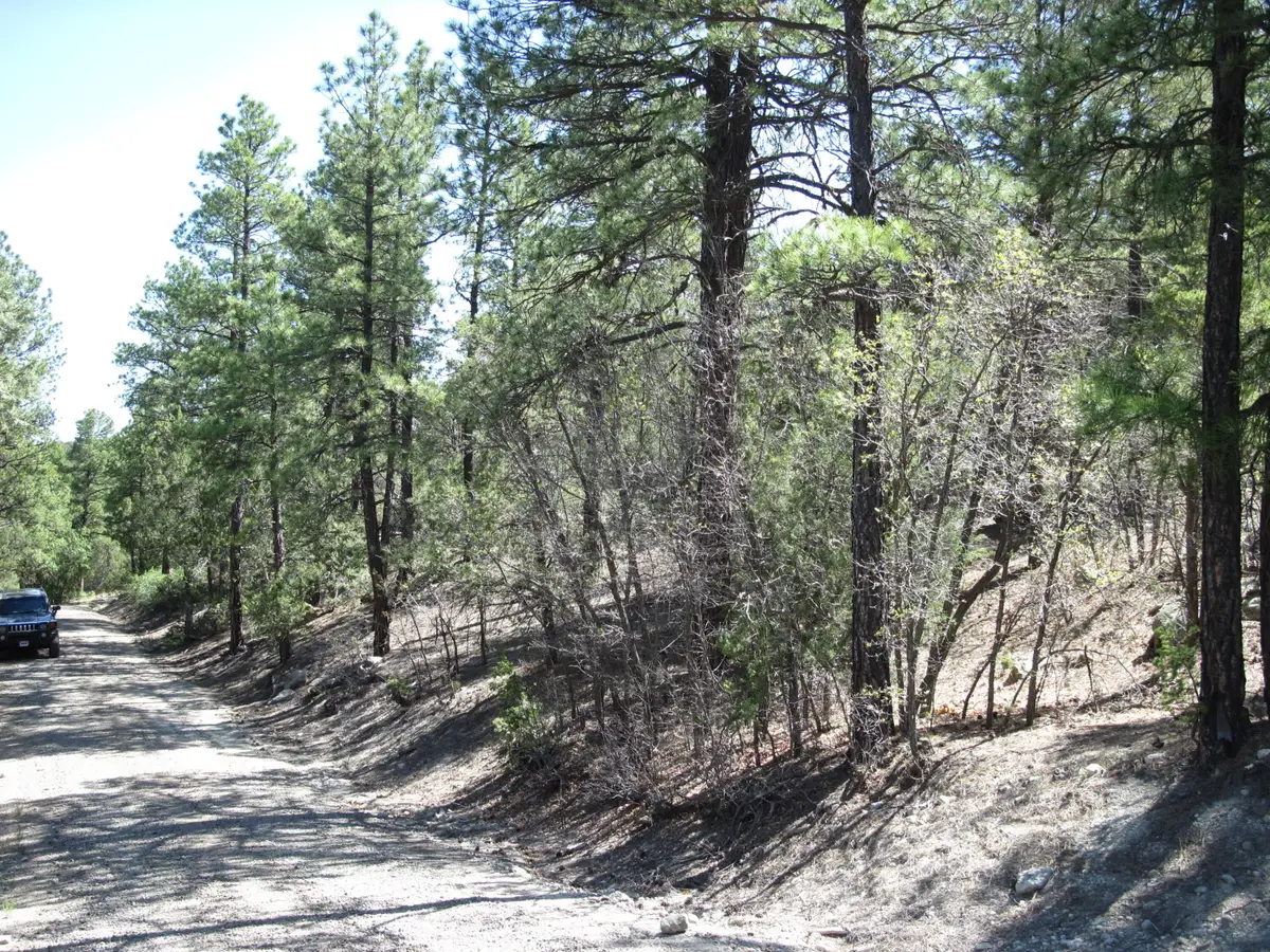 35 Green Shadow Lane, Tijeras, NM 87059 - #1