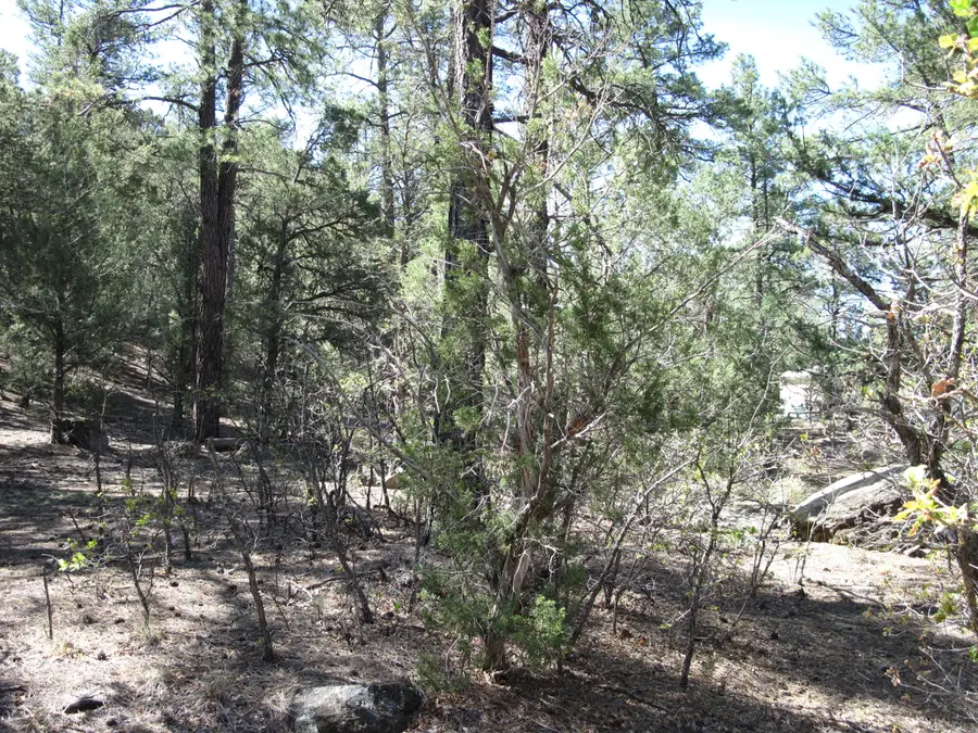 35 Green Shadow Lane, Tijeras, NM 87059 - #3