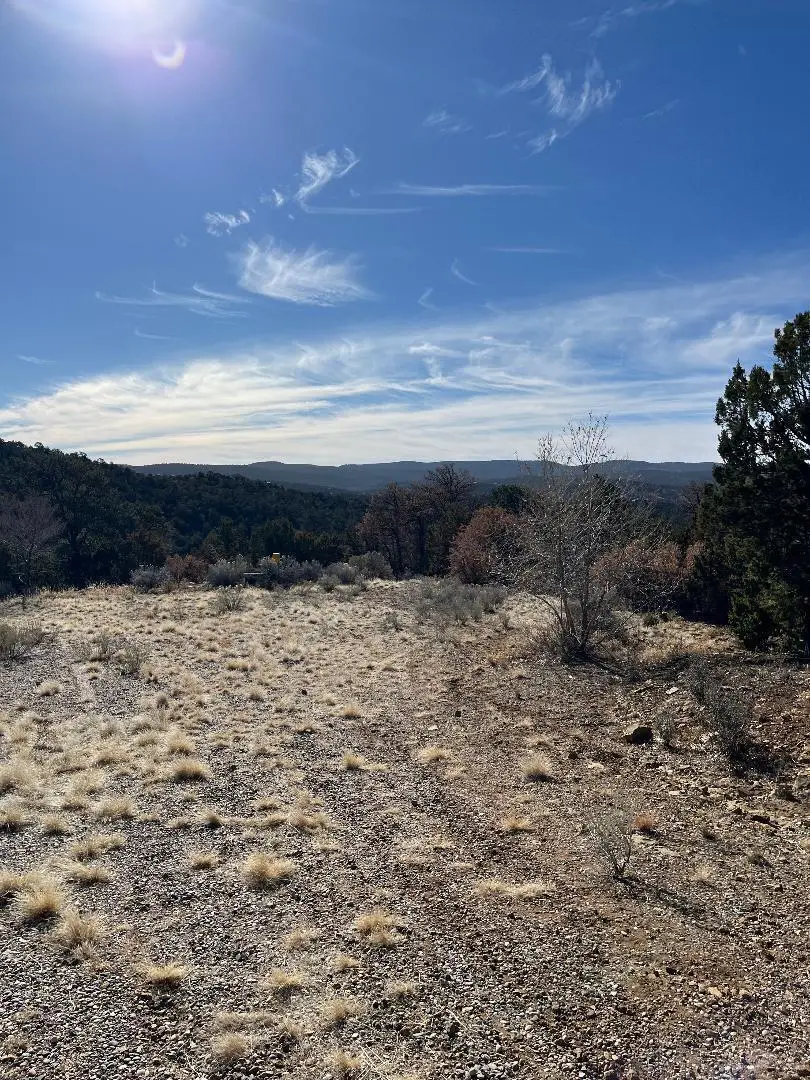 Tierra Vista Trail, Cedar Crest, NM 87008 - #2