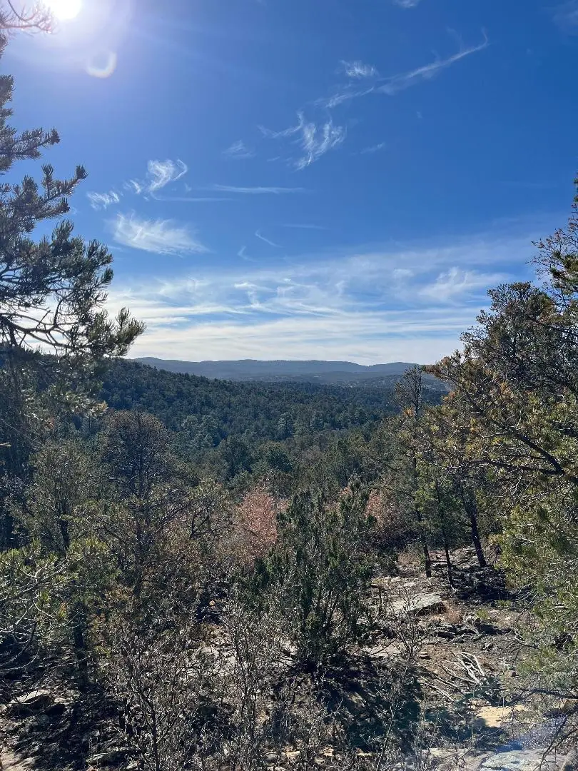 Tierra Vista Trail, Cedar Crest, NM 87008 - #3
