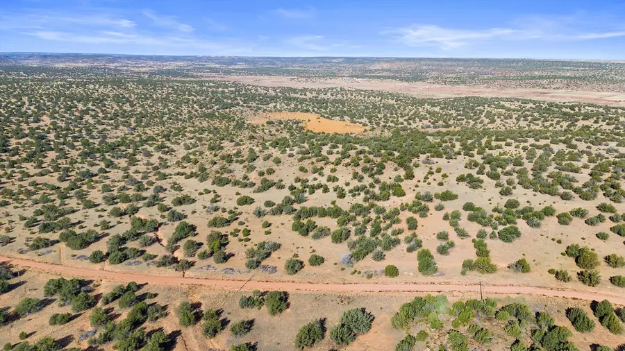 1779 Lost Saddle Loop, Santa Rosa, NM 88435 - #2